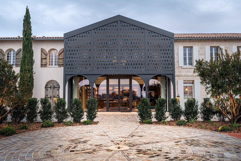 Picture 5 for Activity Saint-Emilion: Vineyard tour, wines, cheeses and olive oil 5