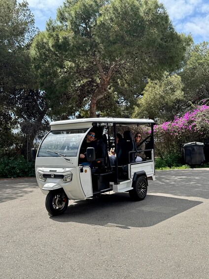 Picture 8 for Activity Málaga: Private tuk-tuk and traditional seaside dining experience 3