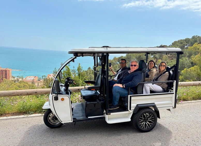 Picture 6 for Activity Málaga: Private tuk-tuk and traditional seaside dining experience 5
