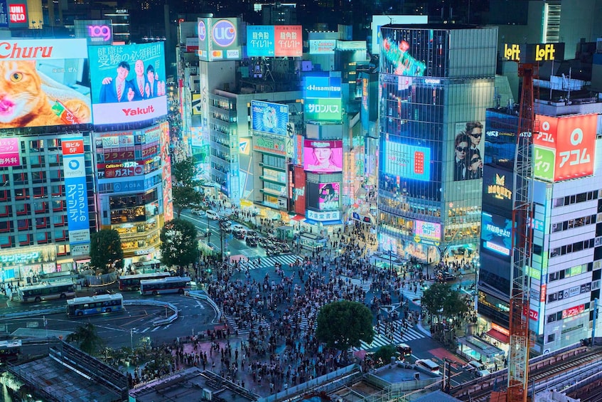 Tokyo: Shibuya Highlights Walking Tour & Secret View Spot 1