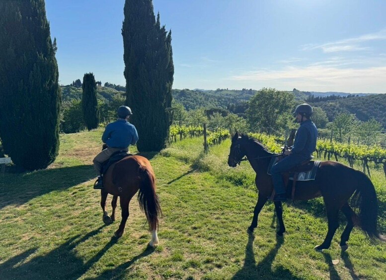 Picture 1 for Activity Chianti: Horseback Riding Tour 3