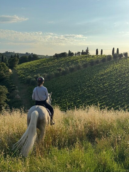 Chianti: Horseback Riding Tour 1