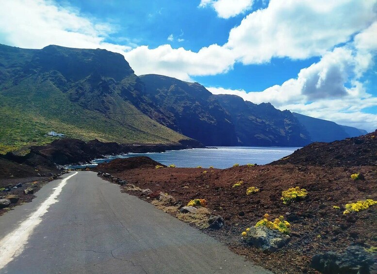 Picture 7 for Activity Discovery VIP Van Tour: Lava Pools, Punta Teno and Masca 2