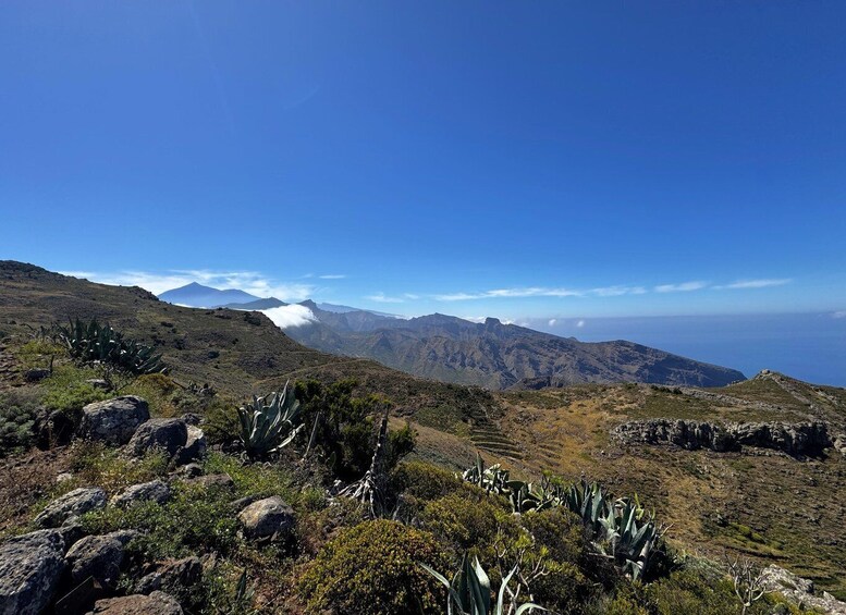 Picture 8 for Activity Discovery VIP Van Tour: Lava Pools, Teno Alto and Masca 4