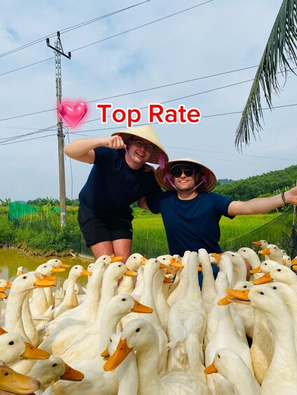 Picture 19 for Activity Phong Nha Cave by boat, Paradise Cave & Duck Stop Experience 3