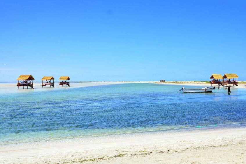 Picture 11 for Activity Djerba: White Sand Beach, Local Boat to Hessi Jerbi & Zarzis 5