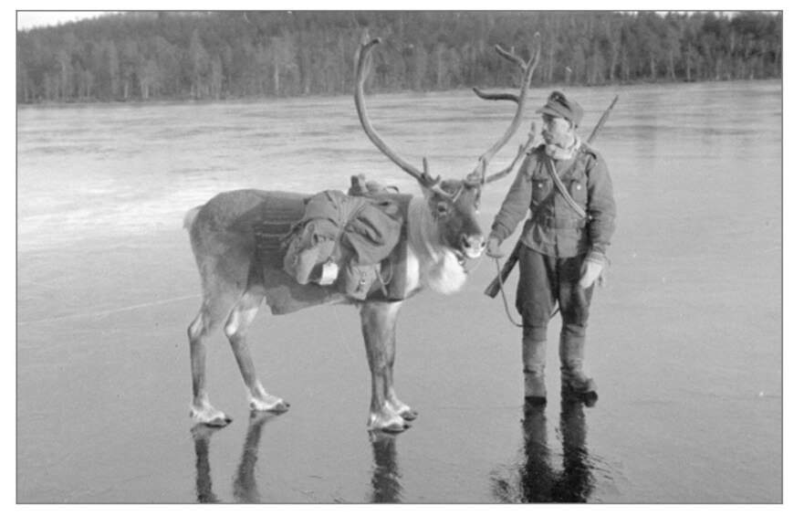 Picture 4 for Activity Helsinki WWII Walking Tour: Finland’s Fight for Survival 5