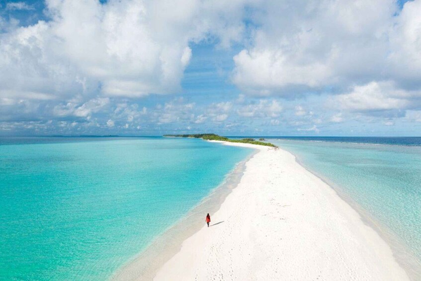 Picture 2 for Activity Dhigurah: Professional Photo and Drone Shoot 5