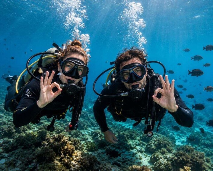 Picture 1 for Activity Istanbul: Scuba Diving Experience 2
