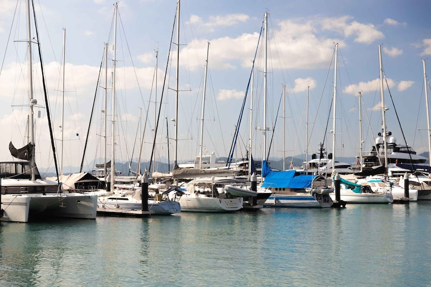 A marina with multiple sailboats docked, calm water, and a clear sky. 1