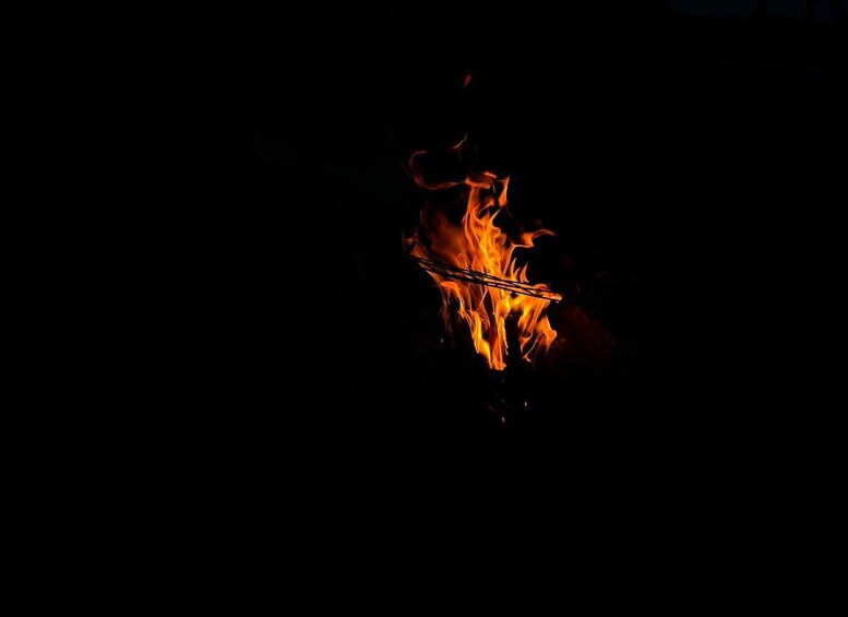 A close-up of a fire with bright orange flames. 4
