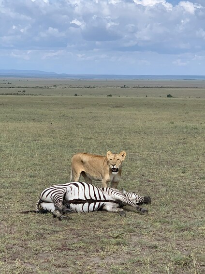 Picture 7 for Activity Visit Kenya: 3-Day Bantu Culture, Landscapes & local Cuisine 3