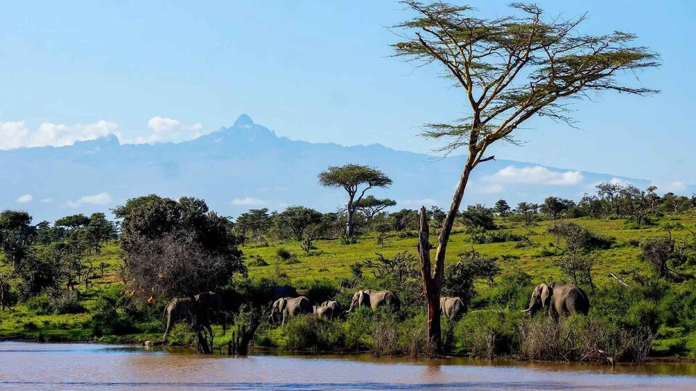 Visit Kenya: 3-Day Bantu Culture, Landscapes & local Cuisine 1