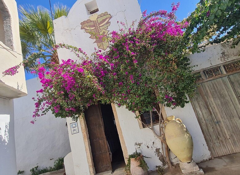 Rakennuksessa on valkoinen julkisivu, puinen ovi ja vaaleanpunaisia bougainvillea-kukkia. 5