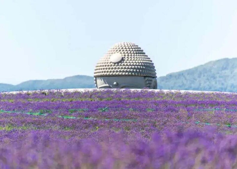 Otaru&Jozankei: Day Tour featuring The Hill of The Buddha 1