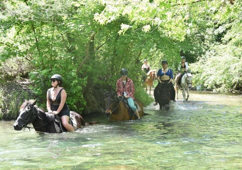 Picture 2 for Activity Marmaris/Icmeler : Horseback Riding Tour with Hotel Transfer 3
