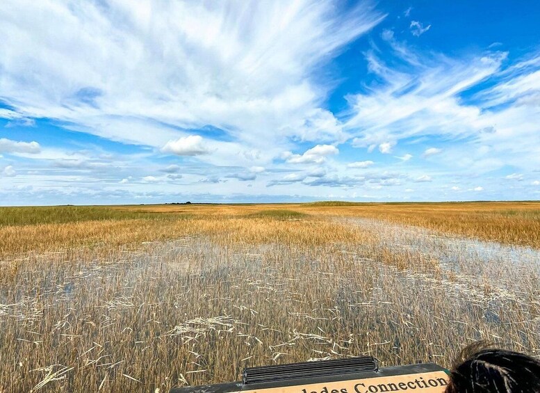 Picture 9 for Activity Everglades: Semi-Private or Private Airboat Tour 4