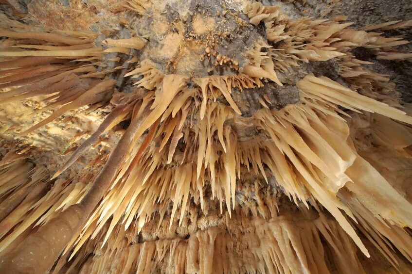 Castellana Grottoes: Official Guided Tour with Entry Ticket 1