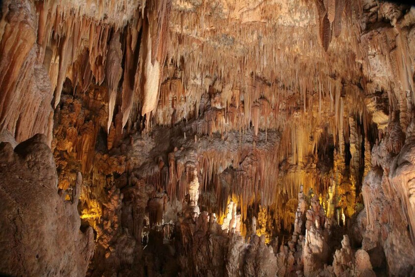 Picture 1 for Activity Castellana Grottoes: Official Guided Tour with Entry Ticket 2