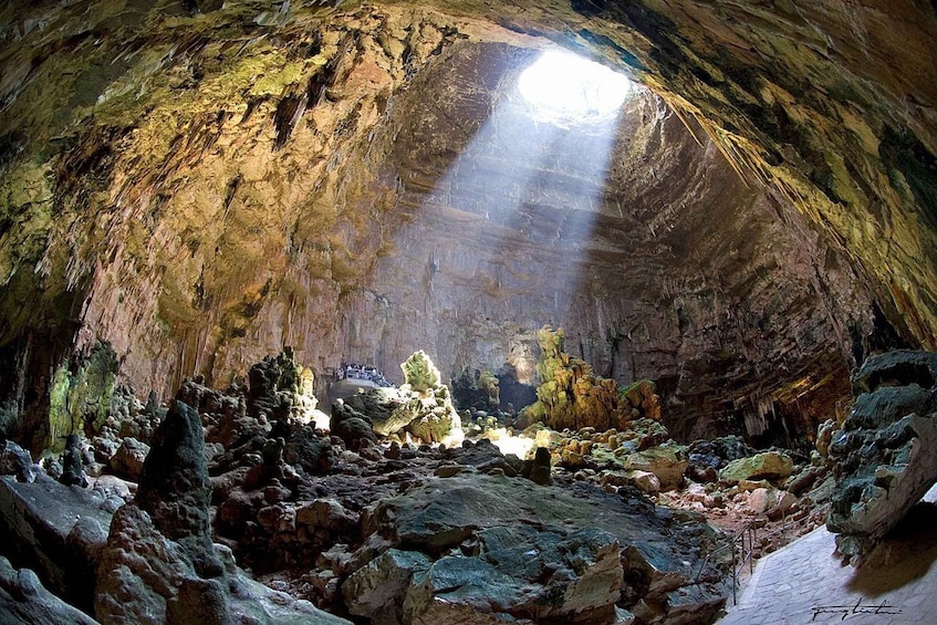 Picture 2 for Activity Castellana Grottoes: Official Guided Tour with Entry Ticket 3