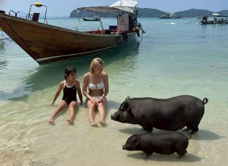Two people sitting on the beach with two pigs nearby. 5