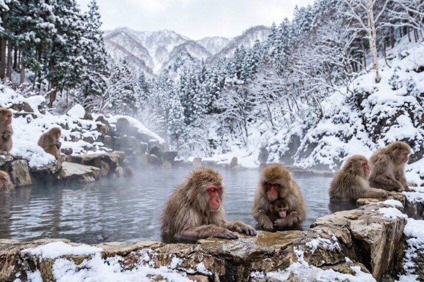 Tokyo Nagano Snow Monkeys and Onsen Full Day Private Tour 1