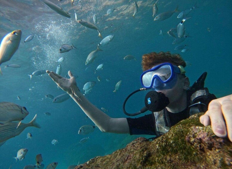 Picture 5 for Activity Antalya & Kemer: 2 Dives Scuba Diving Tour with Lunch 2
