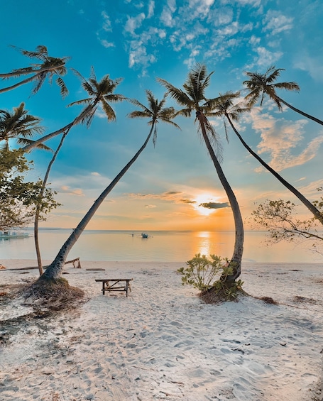 Siquijor: Healing & Wellness Tour with Massage & Beach Visit 1
