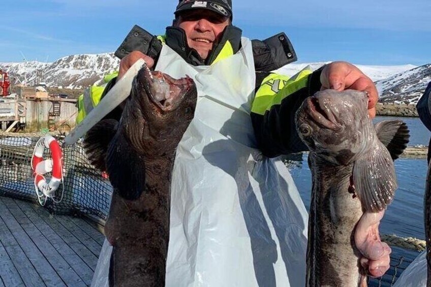 Arctic Fishing Tour 4