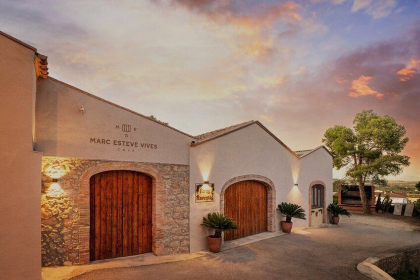 Private Wine Tasting Tour Near Barcelona Half Day 1