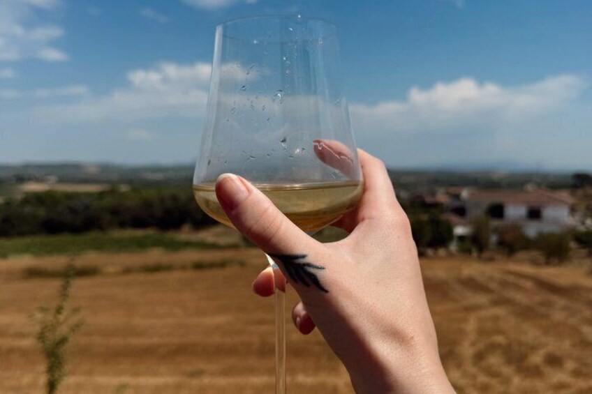 Private Wine Tasting Tour Near Barcelona Half Day 3