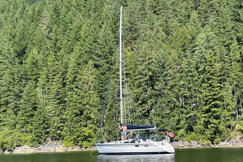 A sailboat on calm water with a forested shoreline in the background. 5