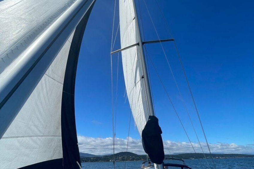 3.5 hour Sailing Adventure in Nanoose Bay 3