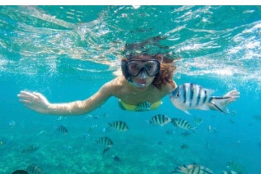 A person snorkeling underwater with tropical fish. 4