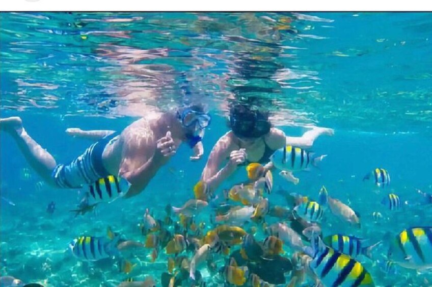 Two people swimming underwater with tropical fish. 5