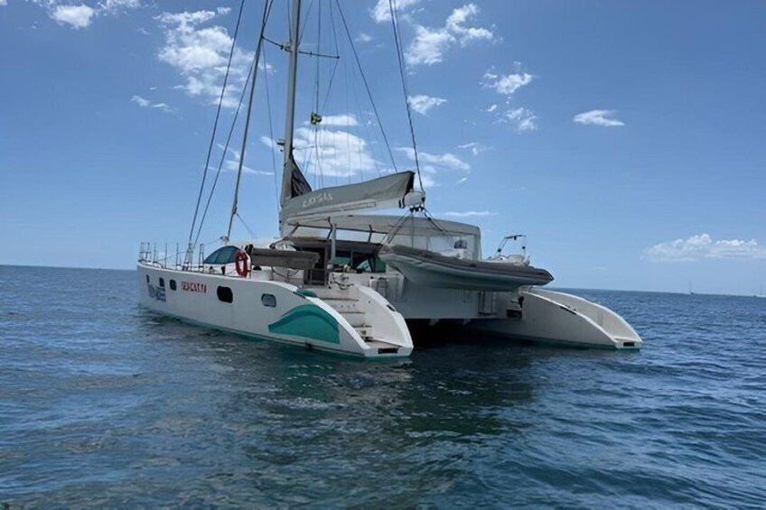 A white and teal catamaran with a person standing on the deck, sailing on calm waters under a clear sky. 2