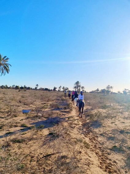 A group of people riding horses on a sandy trail with sparse vegetation and palm trees in the background. 3