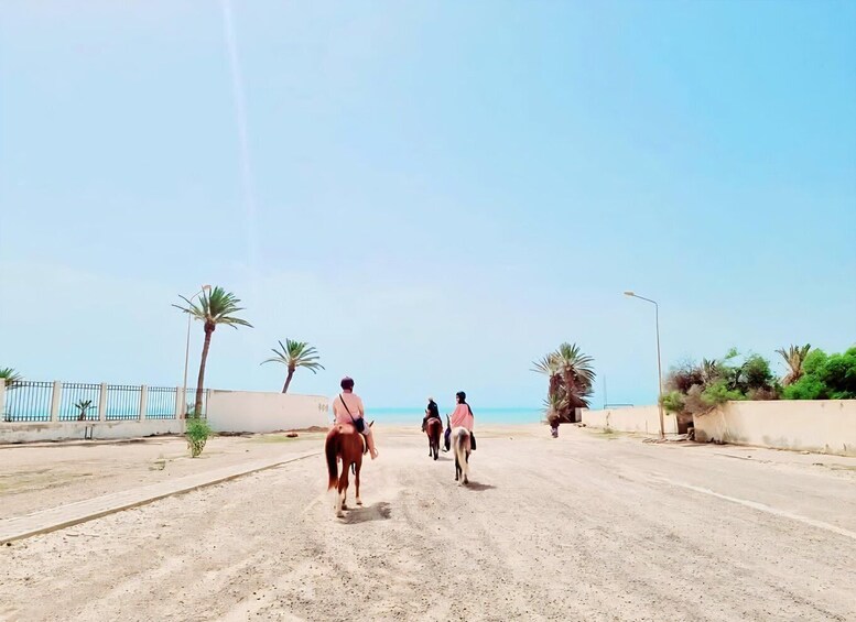 A dirt road with three riders on horses, palm trees, and a clear sky. 1