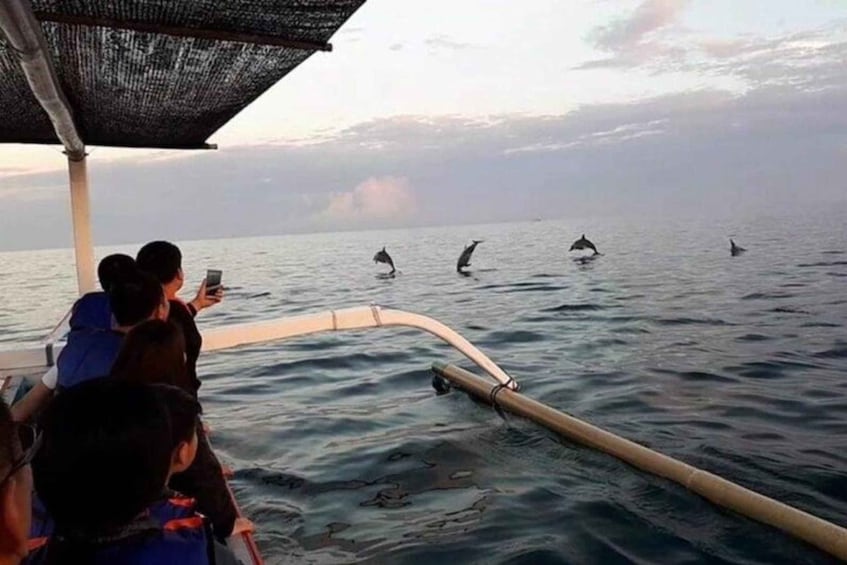 A boat with people observing dolphins in the water. 4