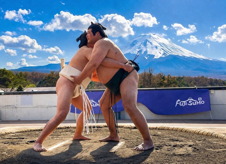 Picture 4 for Activity Tokyo: Mount Fuji Day Trip & Sumo Experience (Small Group) 3