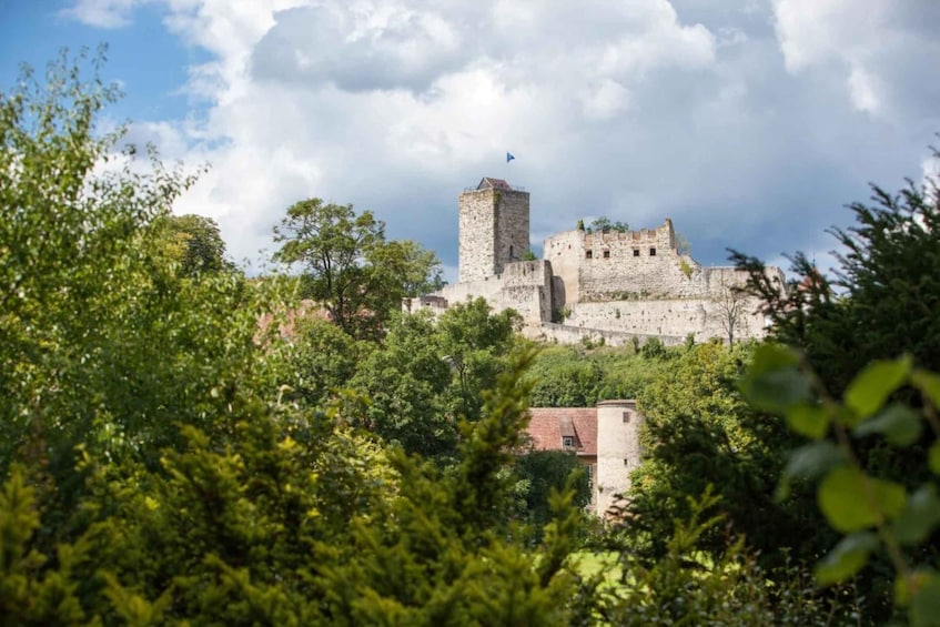 A historic stone castle surrounded by lush greenery. 5