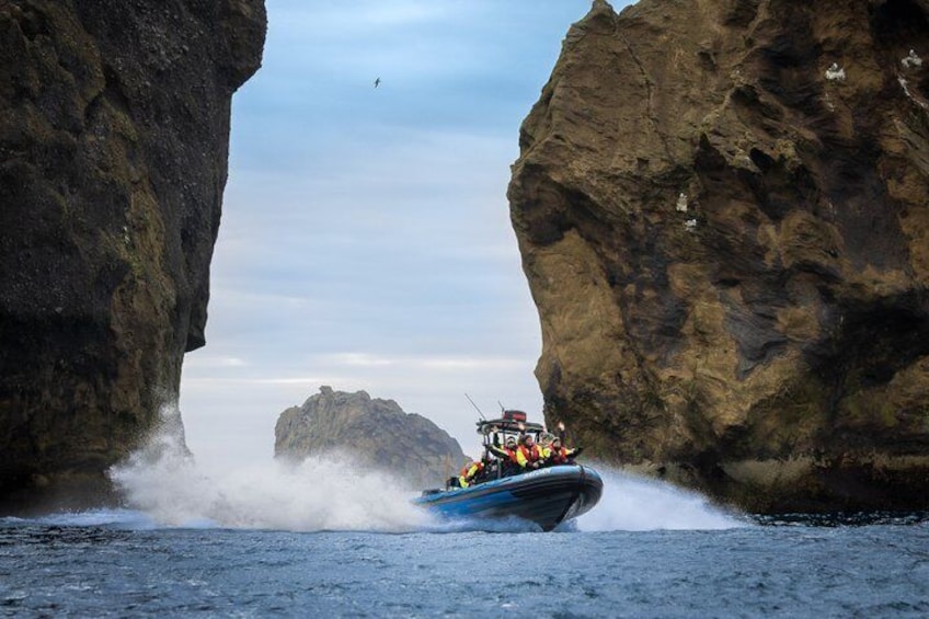 1 Hour RIB Boat Tour 3
