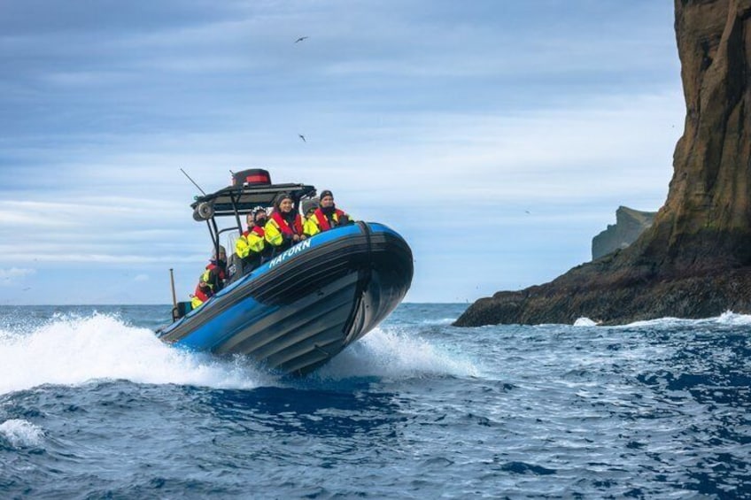 1 Hour RIB Boat Tour 5