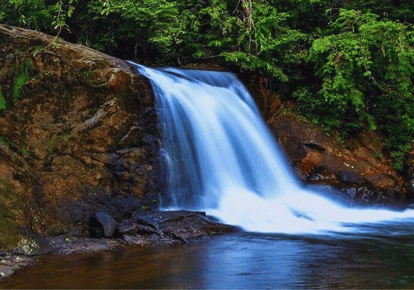 A waterfall cascading over a rocky cliff surrounded by lush greenery. 5