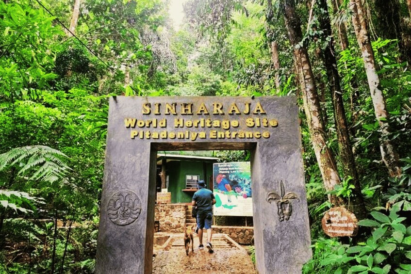A stone entrance archway with the inscription 'SINHARAJA World Heritage Site Pitadenpiyla Entrance' and a person walking a dog. 2