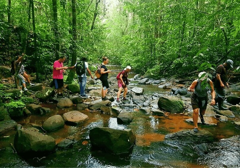 People crossing a rocky stream in a forested area. 4