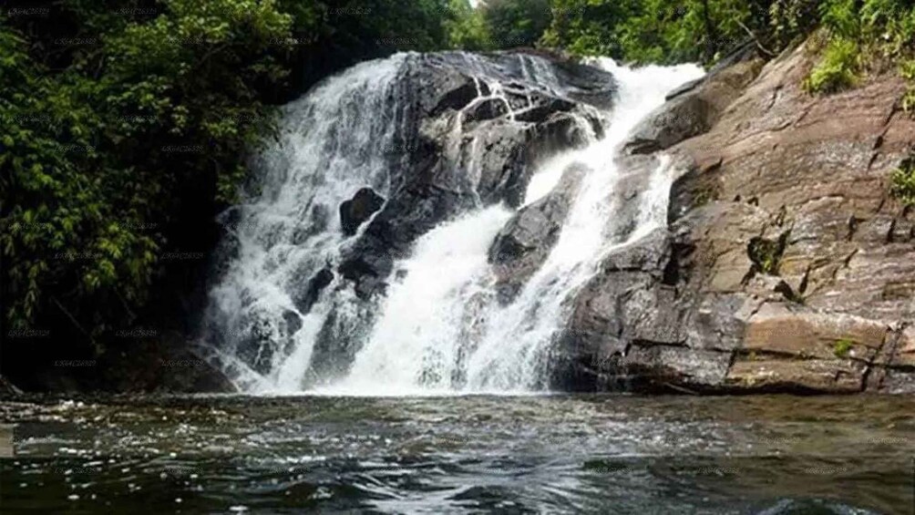 A waterfall cascading over rocks into a river, surrounded by dense greenery. 5