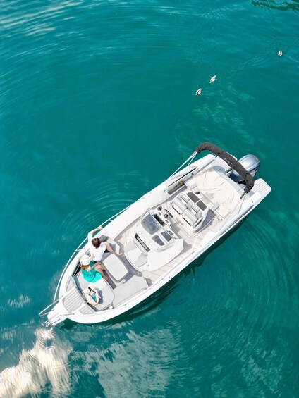 From Sirmione: Private Tour, Isola del Garda, and Coves for Swimming 1