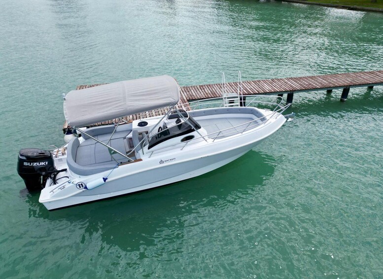 Picture 8 for Activity From Sirmione: Private Tour, Isola del Garda, and Coves for Swimming 2