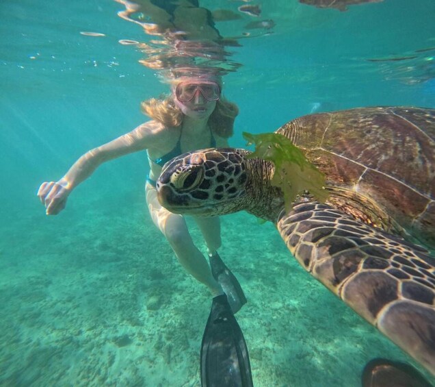 Picture 6 for Activity Mirissa: Unforgettable Snorkeling Experience with Turtles 2